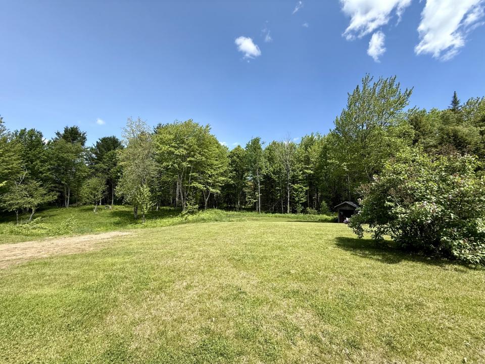 Back yard