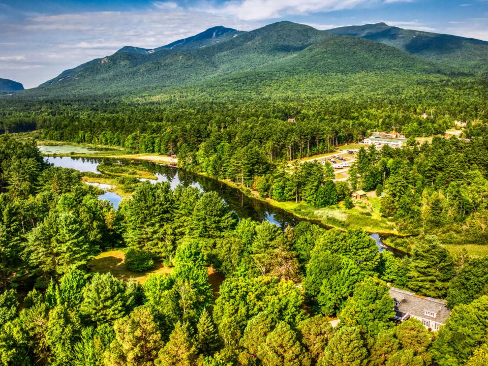 Whiteface