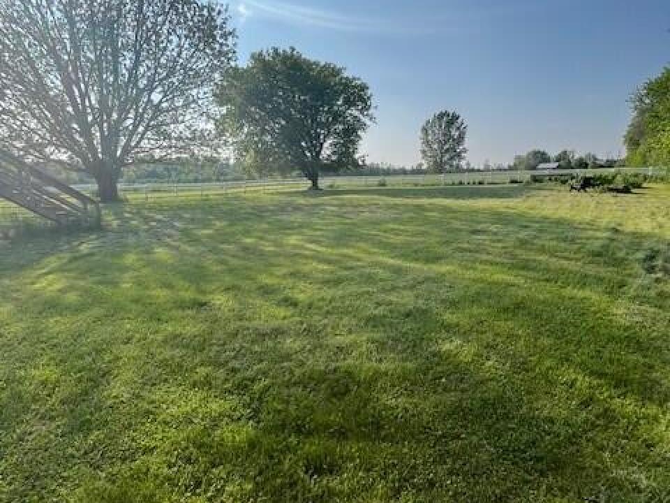 Back Yard 2