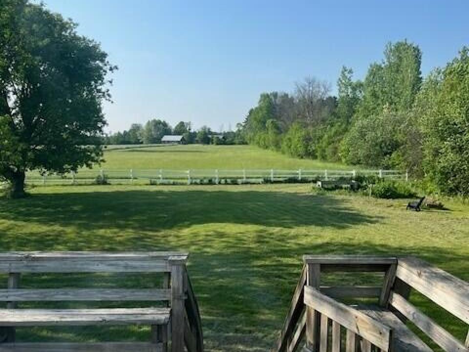Backyard from Kitchen View