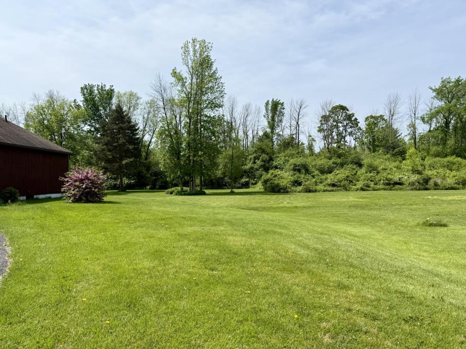 Side Yard