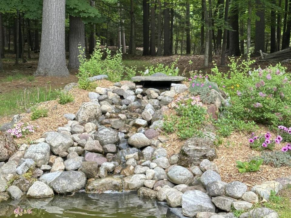 Pond