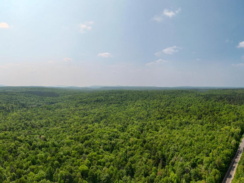 DJI_20250608110010_0148_D