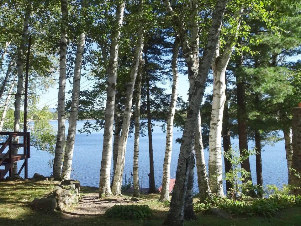 Yard