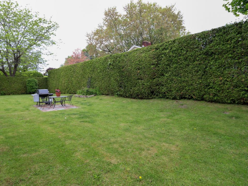 Private Backyard