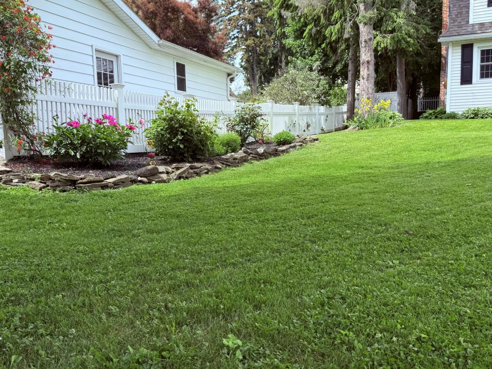 Side Yard