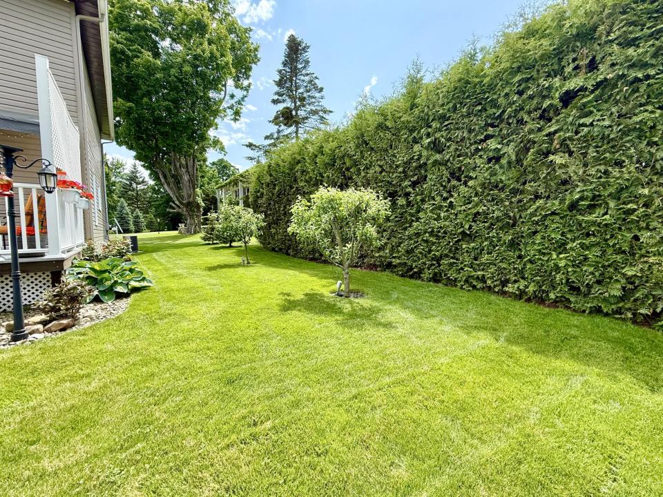Side Yard