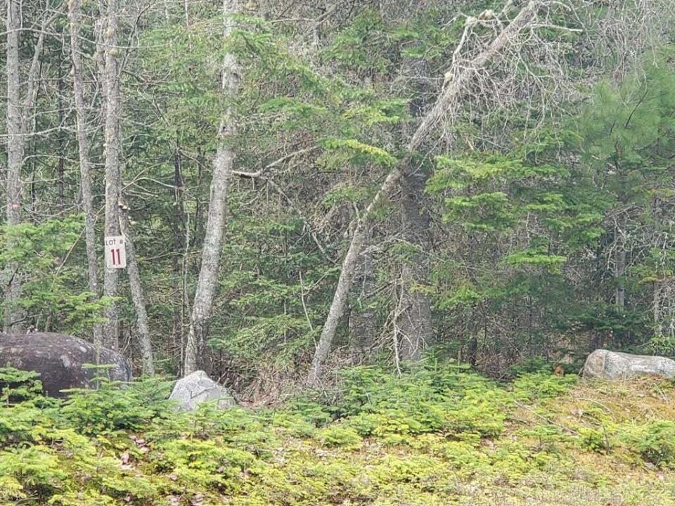 1000011514