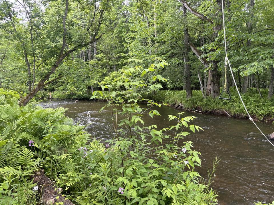 Salmon River