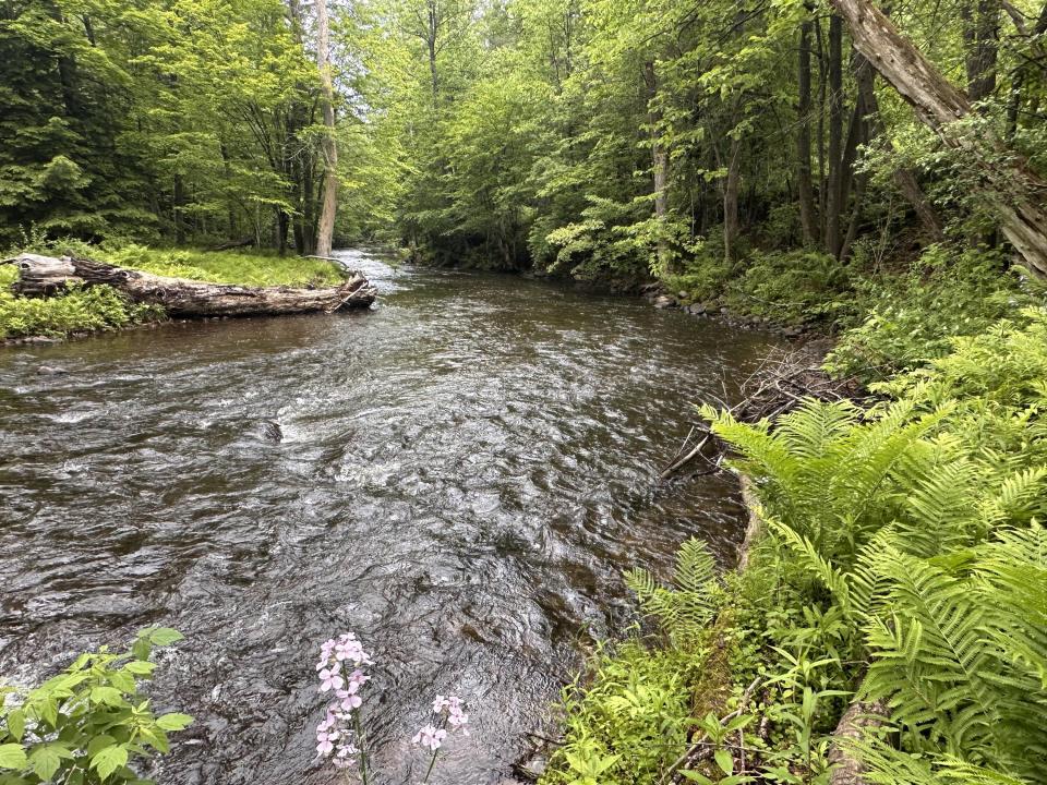 Salmon River Salmon River