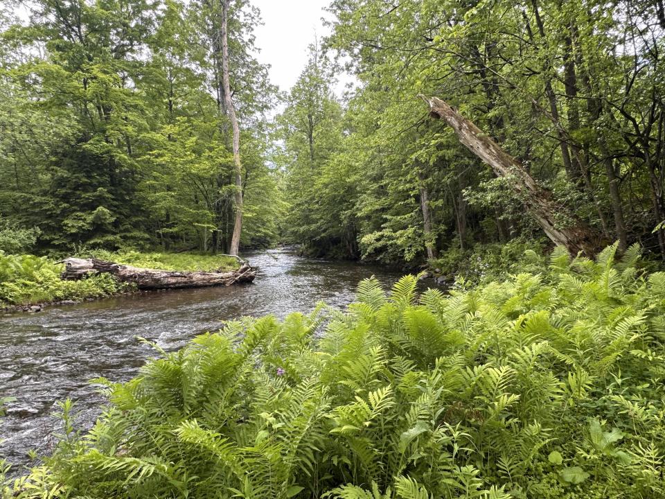 Salmon River