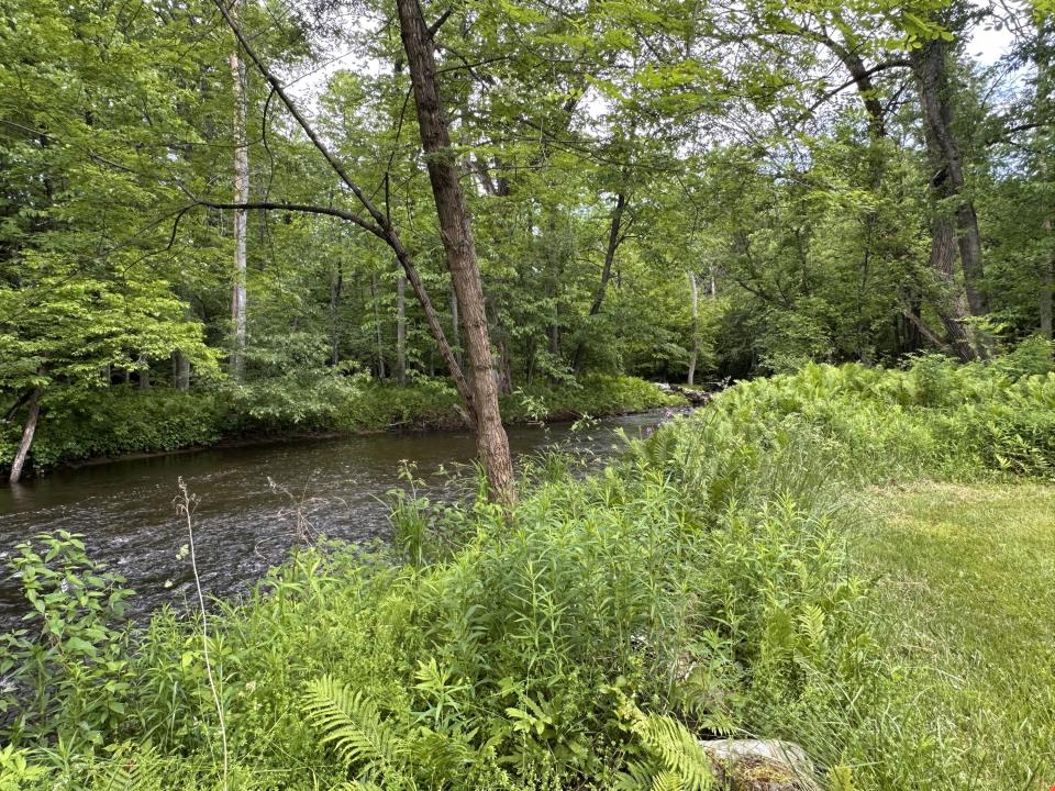 Salmon River