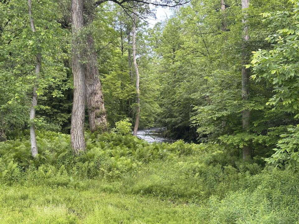Salmon River