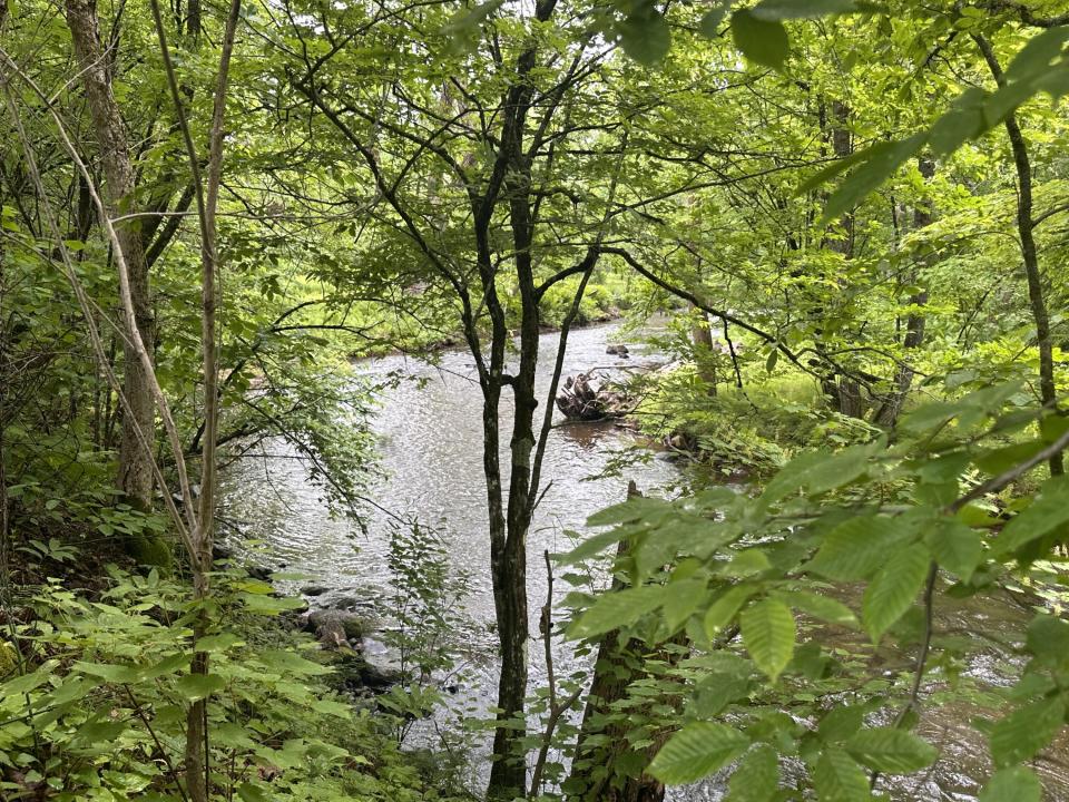 Salmon River
