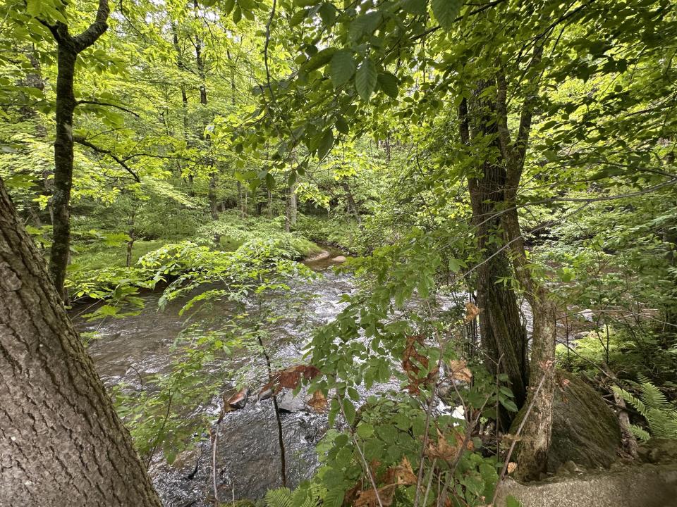 Salmon River