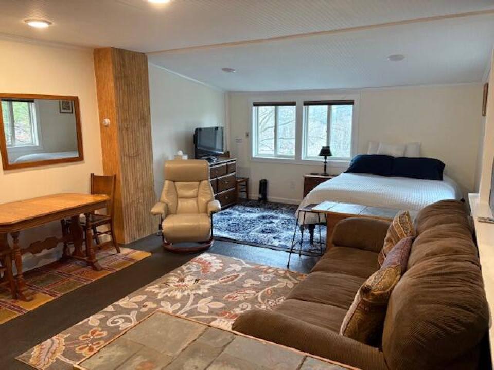 Apartment living and sleeping area