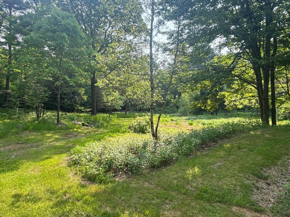 448 Green St yard 2 M