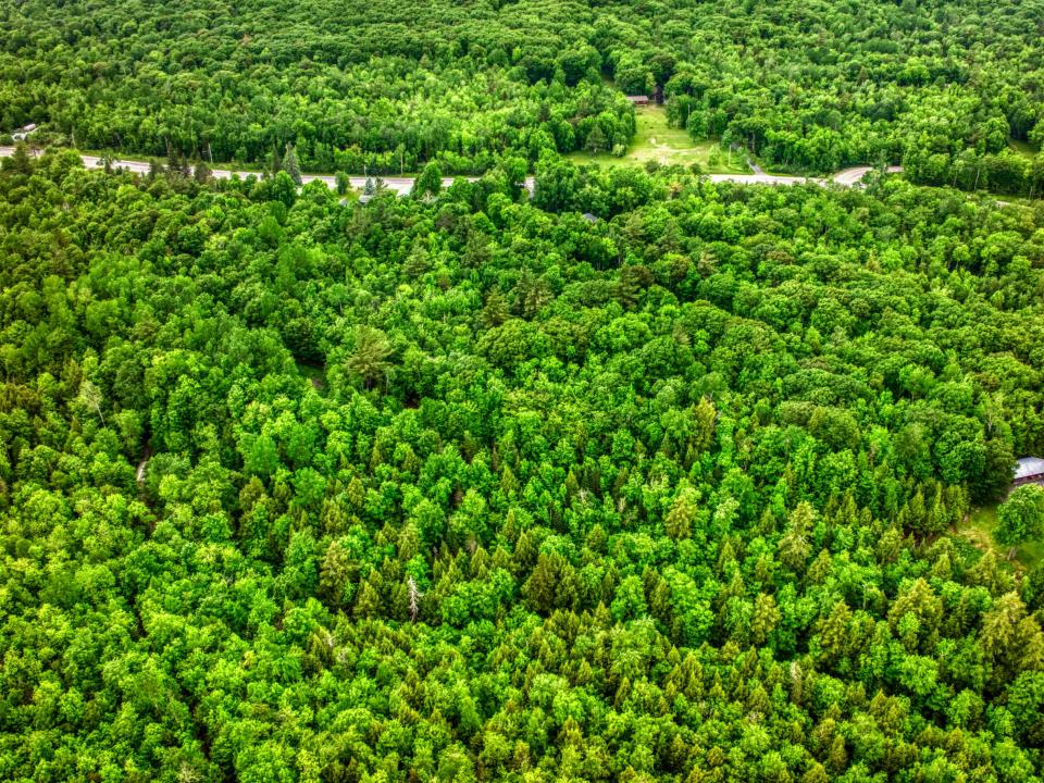 DJI_20250611102945_0268_D