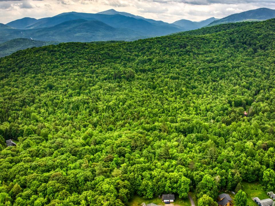 DJI_20250611102620_0251_D