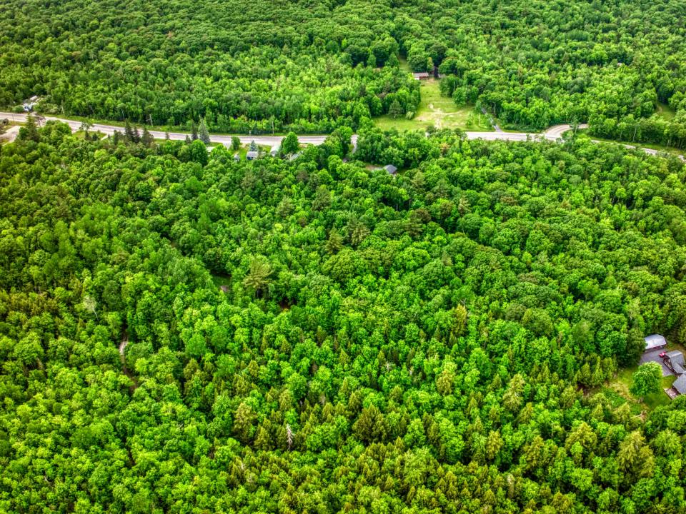 DJI_20250611103002_0273_D