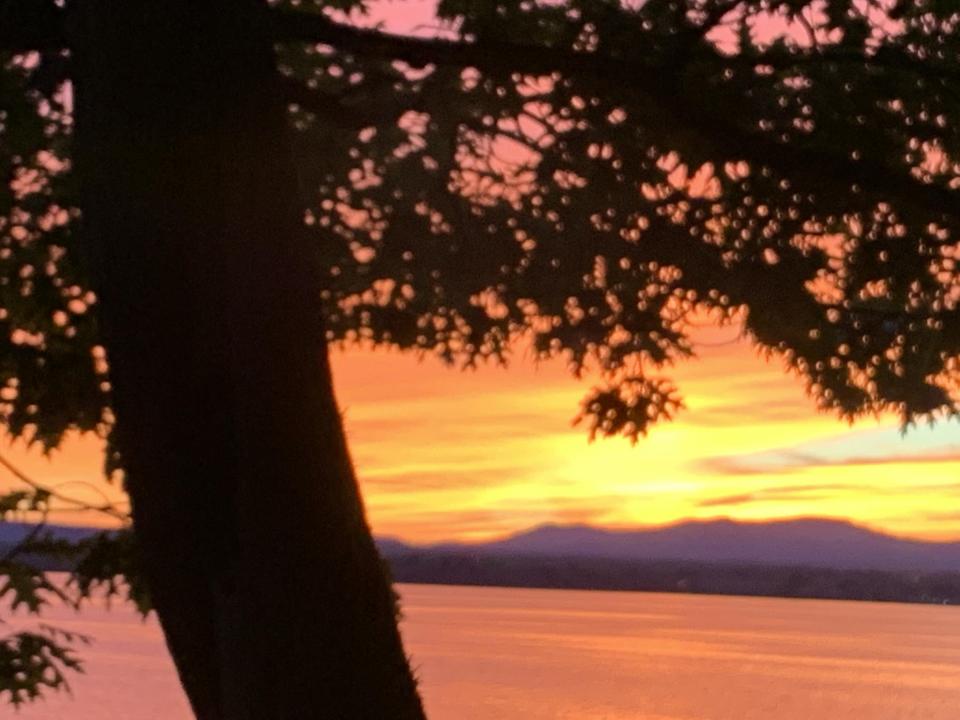 Bouvia sunset