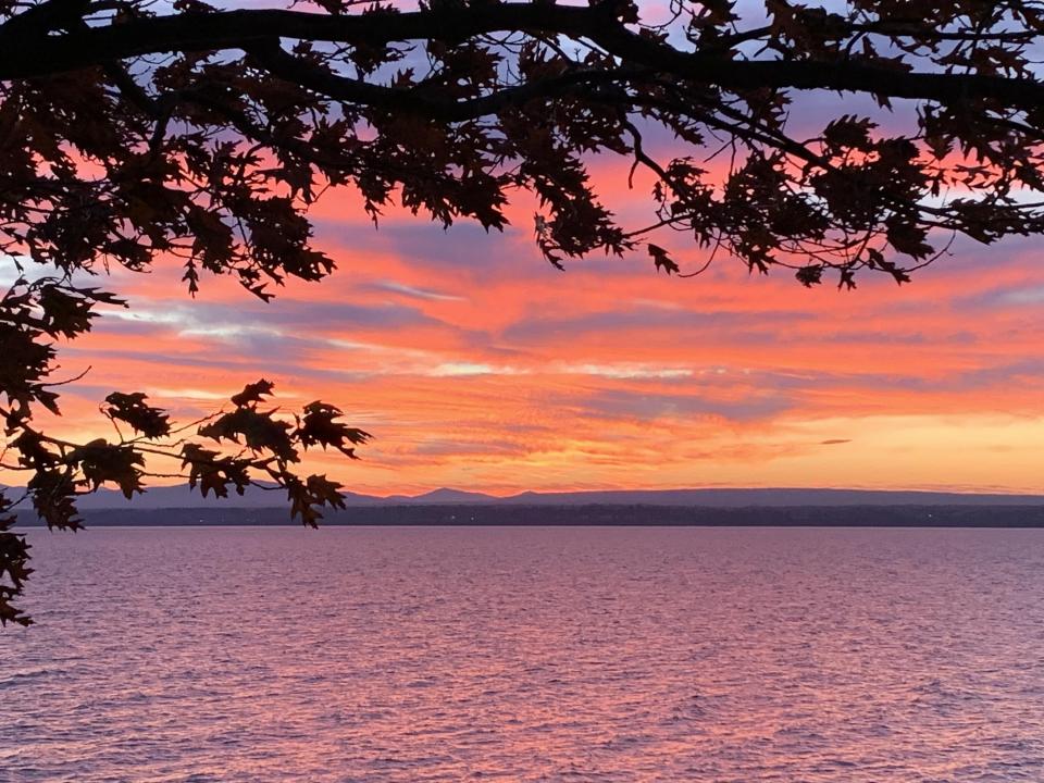 bouvia sunset with leaves