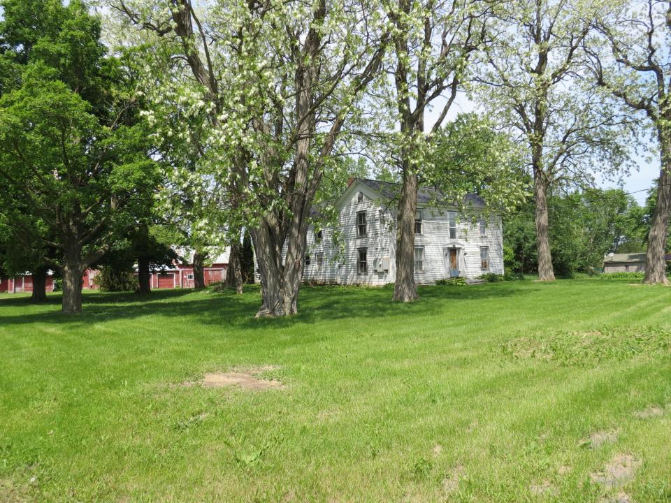 IMG_6797 IMG_6797