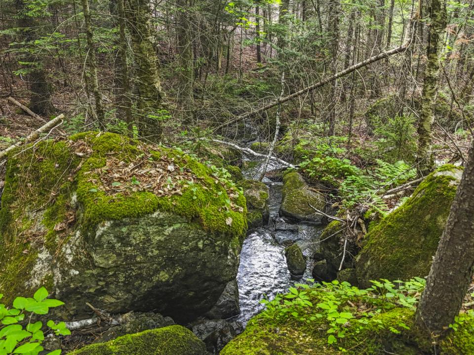 DJI_20250616183859_0043_D_