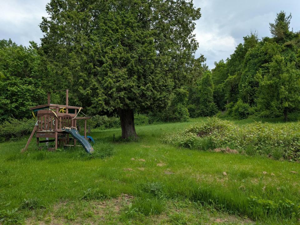 PXL_20250610_202055209