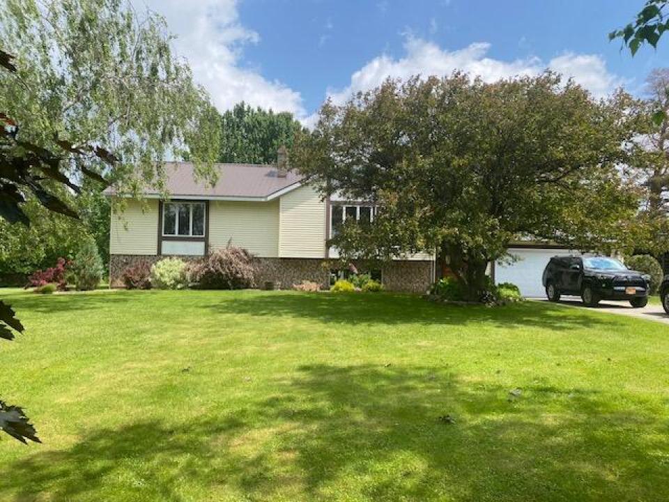 1000011385 1000011385