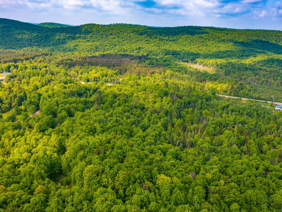 933 935 Oswegatchie Trail Rd-7