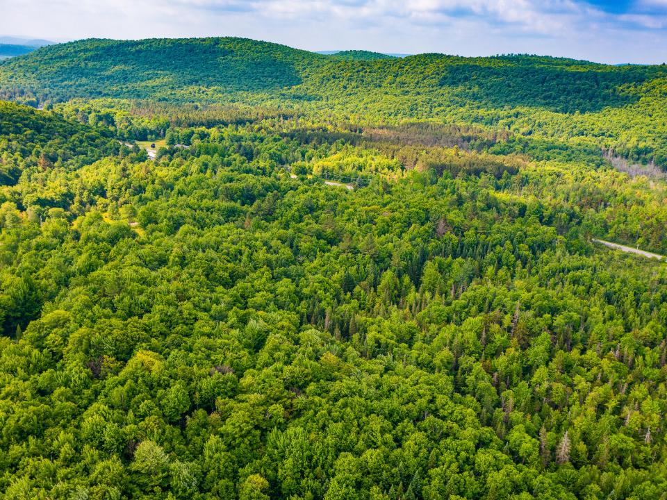 933 935 Oswegatchie Trail Rd-8