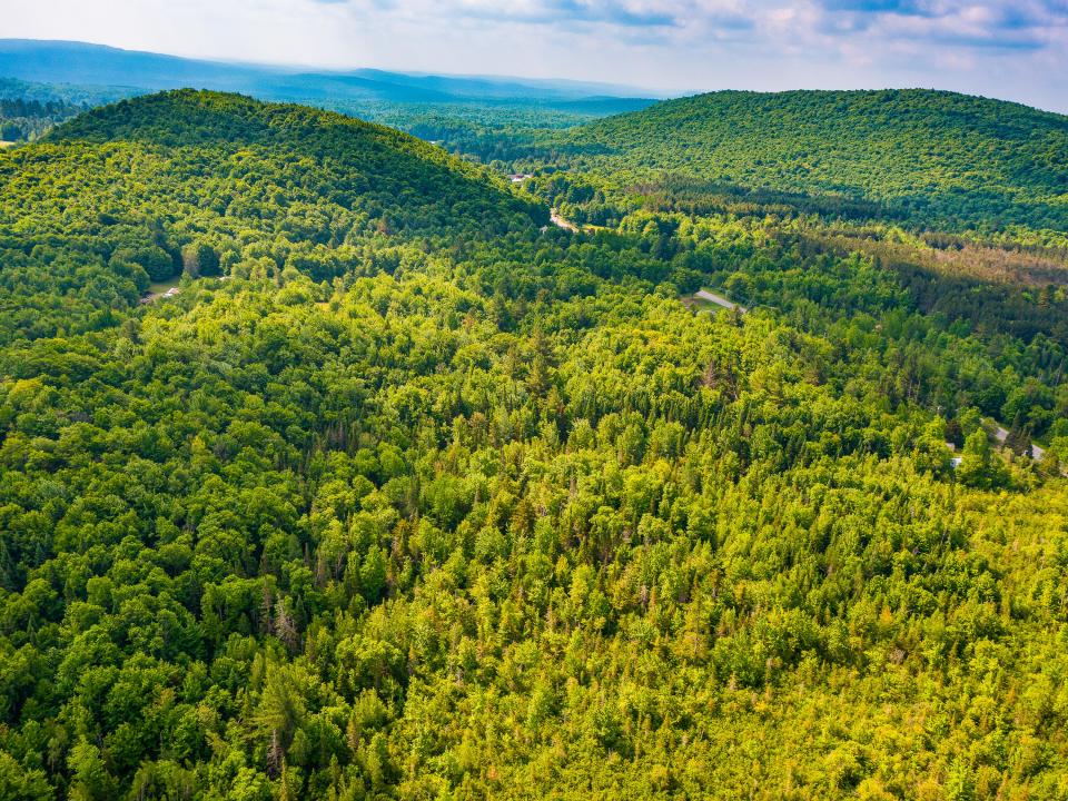 933 935 Oswegatchie Trail Rd-9