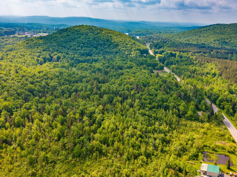 933 935 Oswegatchie Trail Rd-10