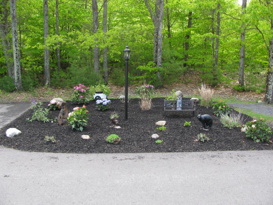 landscaping side of home