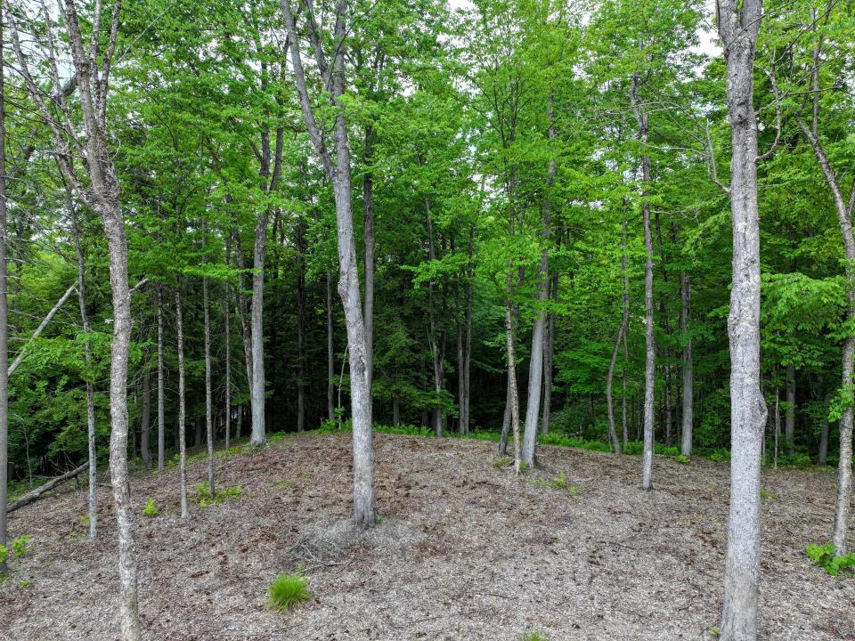 DJI_20250611140525_0709_D-2 (Copy) DJI_20250611140525_0709_D-2 (Copy)