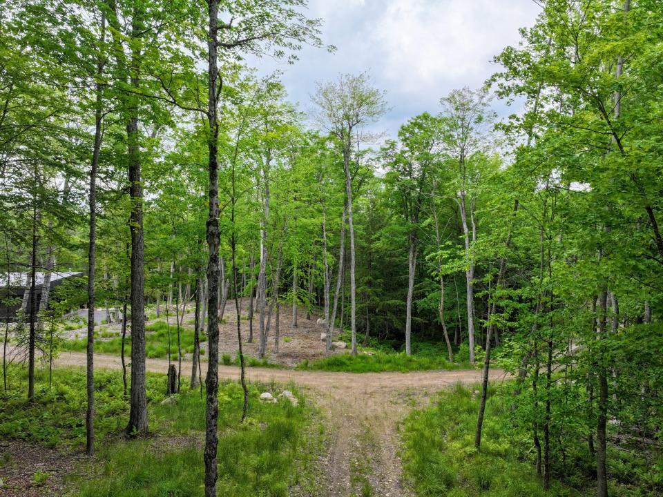 DJI_20250611140335_0704_D-2 (Copy)