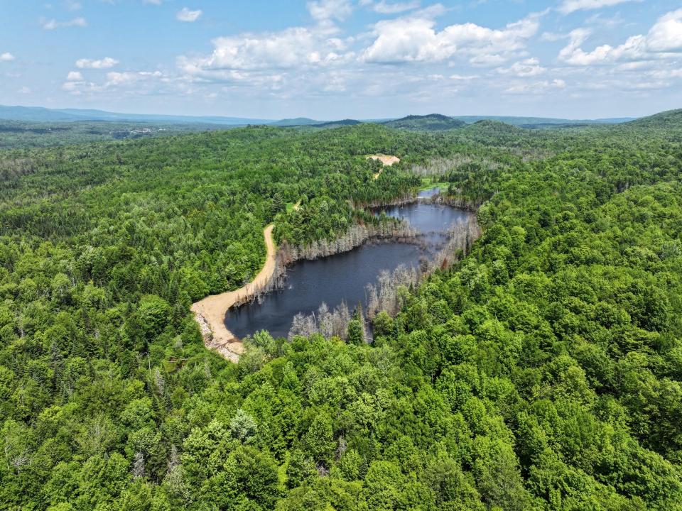 DJI_20250611134325_0686_D-2 (Copy) DJI_20250611134325_0686_D-2 (Copy)