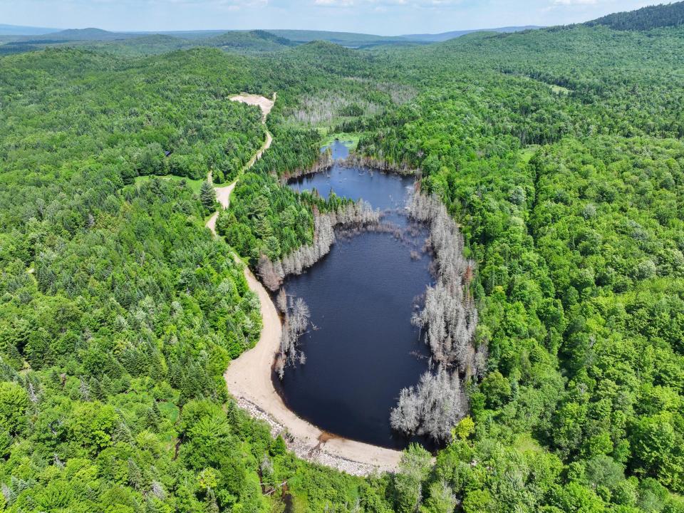 DJI_20250611134435_0691_D-2 (Copy) DJI_20250611134435_0691_D-2 (Copy)