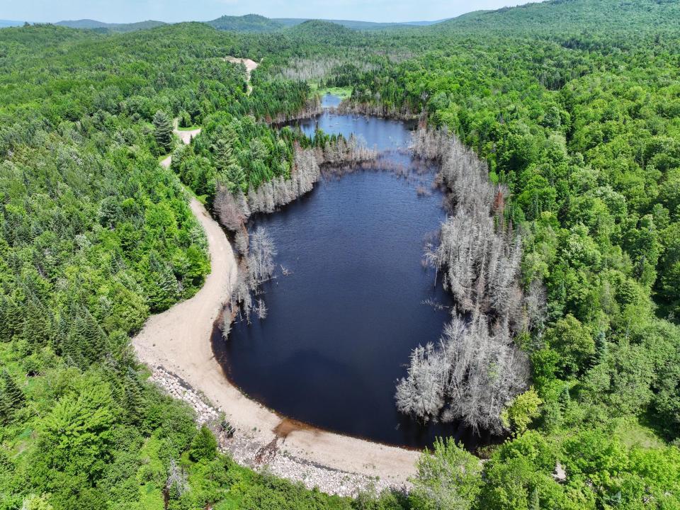 DJI_20250611134504_0692_D-2 (Copy) DJI_20250611134504_0692_D-2 (Copy)