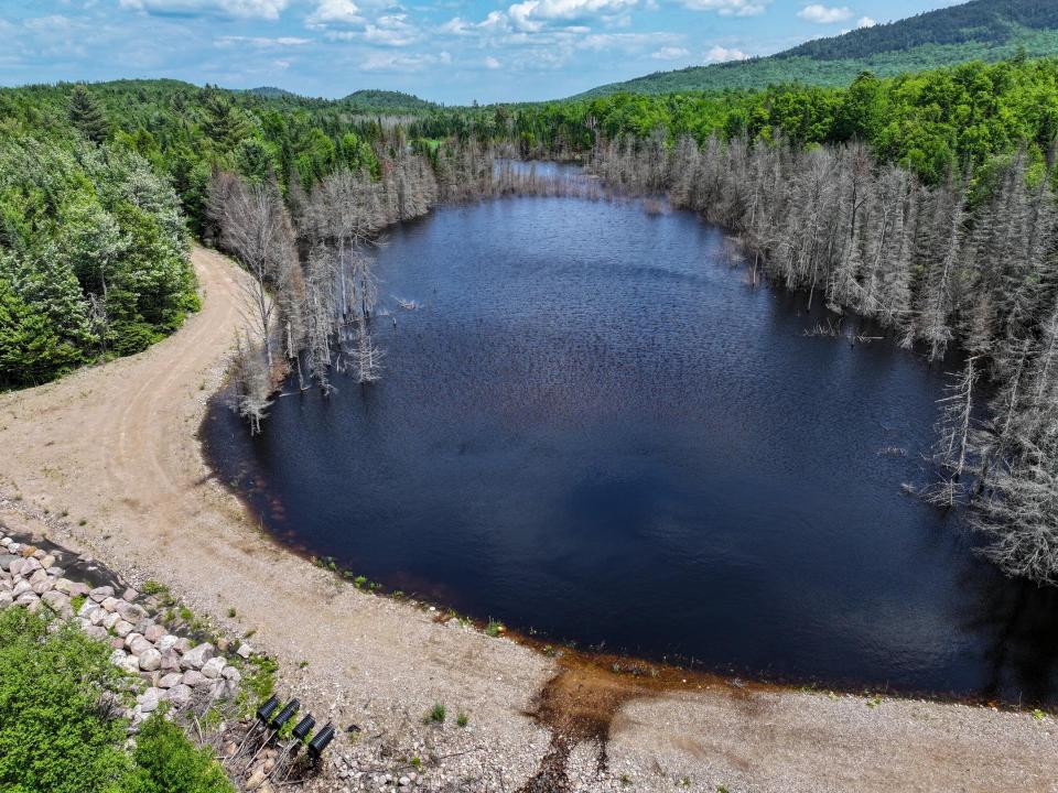 DJI_20250611134546_0694_D-2 (Copy) DJI_20250611134546_0694_D-2 (Copy)