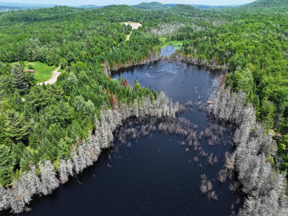 DJI_20250611134610_0695_D-2 (Copy) DJI_20250611134610_0695_D-2 (Copy)