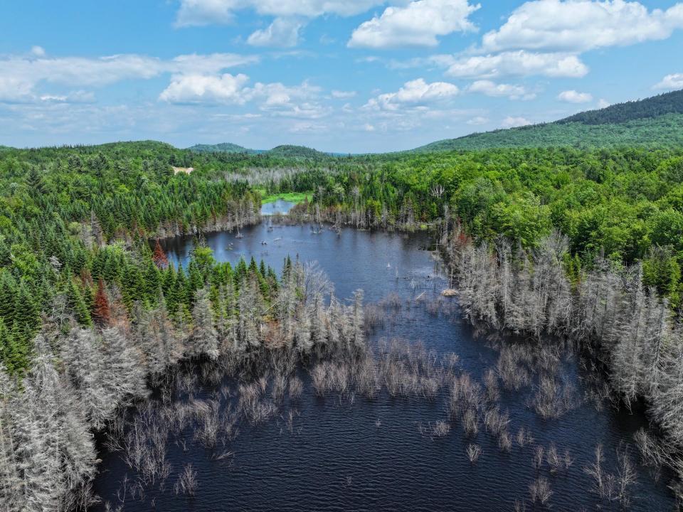 DJI_20250611134627_0696_D-2 (Copy) DJI_20250611134627_0696_D-2 (Copy)