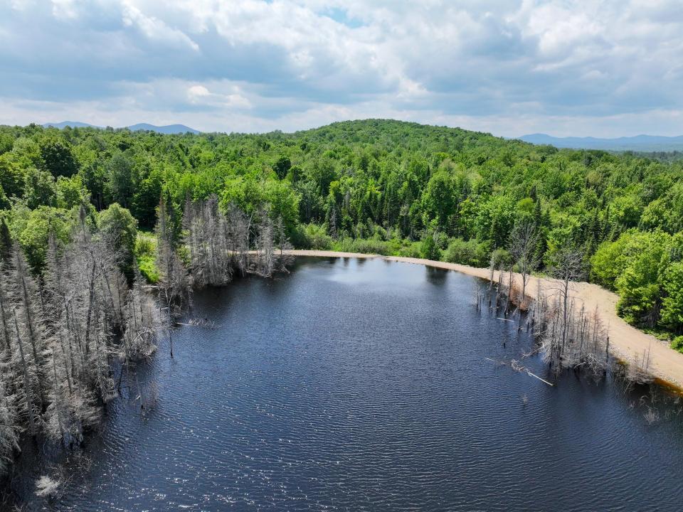 DJI_20250611134641_0698_D-2 (Copy) DJI_20250611134641_0698_D-2 (Copy)