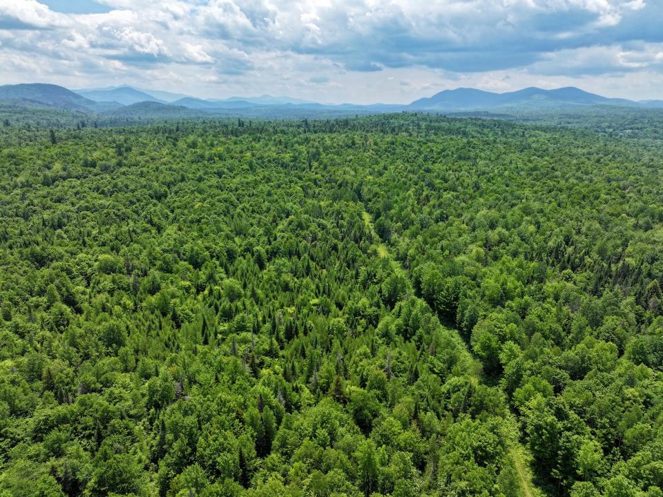 DJI_20250611134357_0689_D-3 (Copy) DJI_20250611134357_0689_D-3 (Copy)