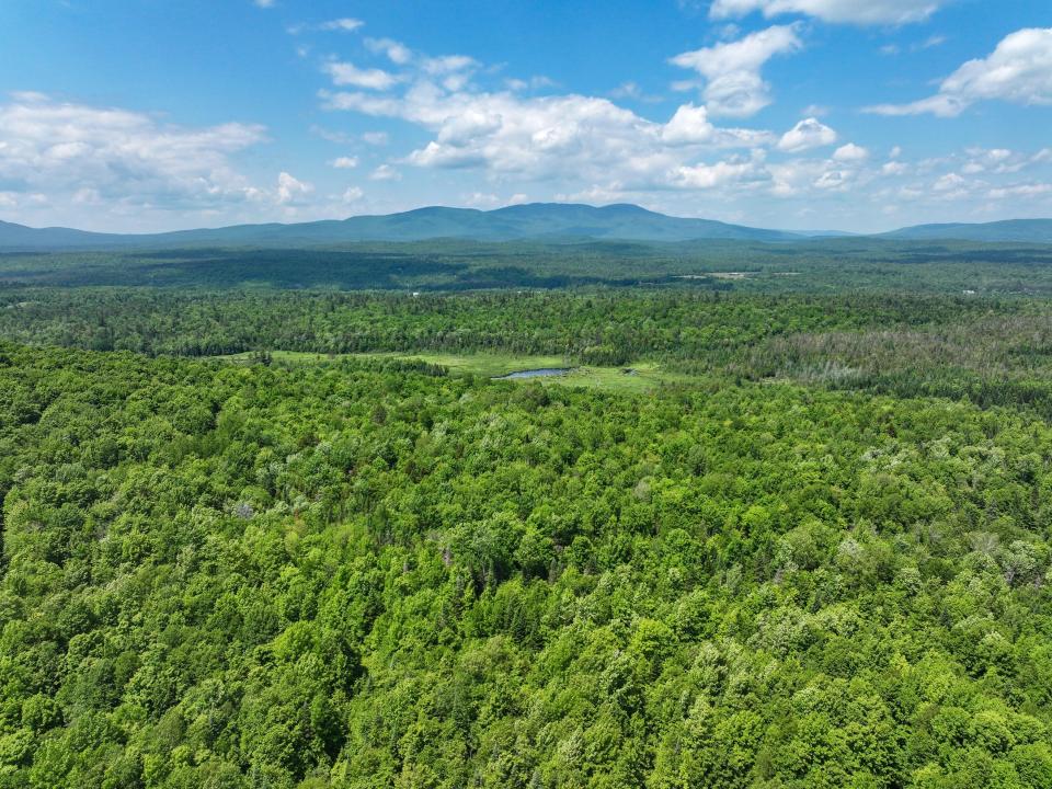 DJI_20250611134353_0688_D-2 (Copy) DJI_20250611134353_0688_D-2 (Copy)