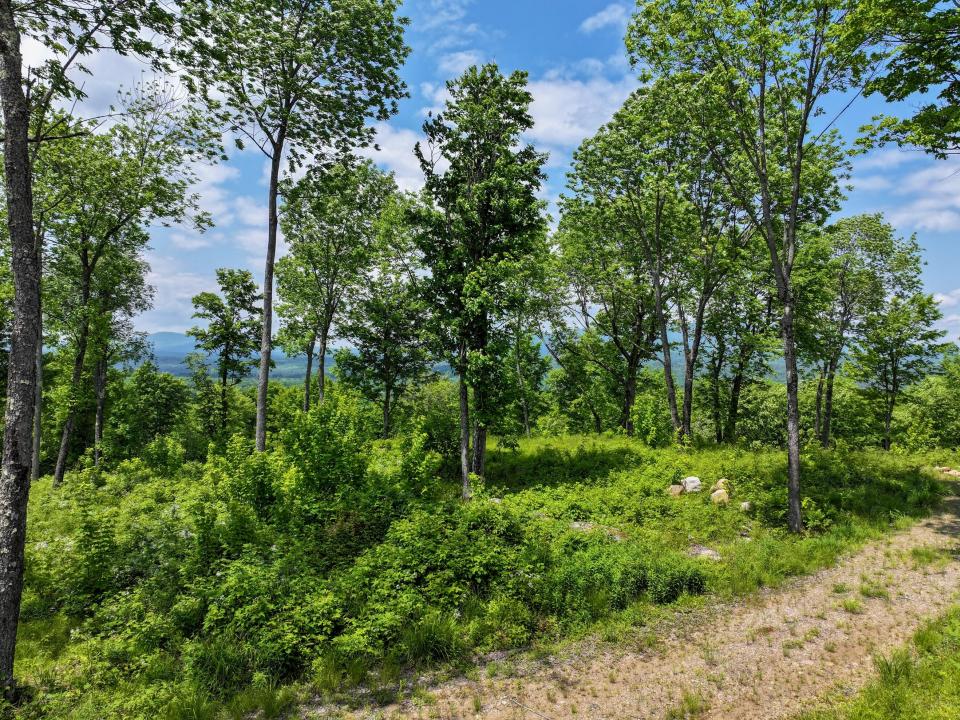 DJI_20250611133509_0680_D-2 (Copy) DJI_20250611133509_0680_D-2 (Copy)