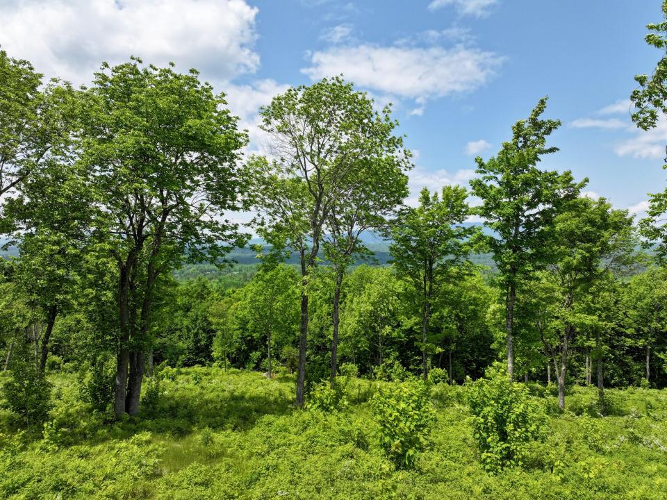 DJI_20250611133543_0683_D-2 (Copy) DJI_20250611133543_0683_D-2 (Copy)