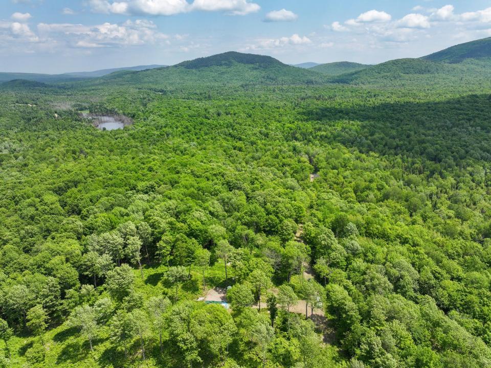 DJI_20250611133325_0674_D-2 (Copy) DJI_20250611133325_0674_D-2 (Copy)