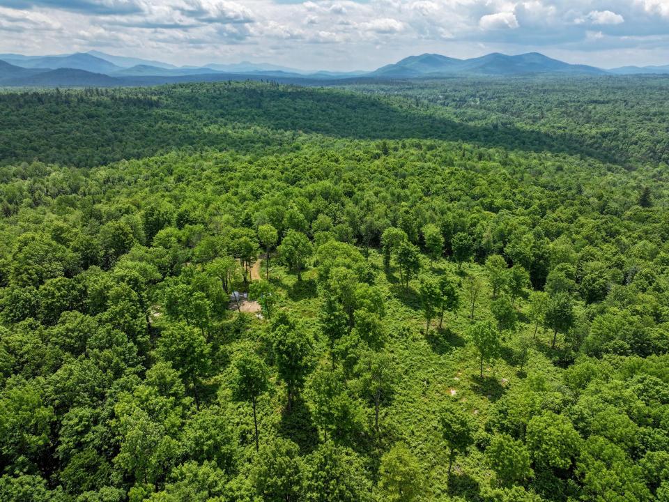 DJI_20250611133244_0671_D-2 (Copy) DJI_20250611133244_0671_D-2 (Copy)